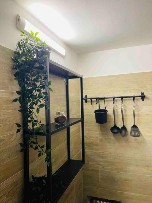 Bella Sicilia Apartamento Palermo Exterior foto